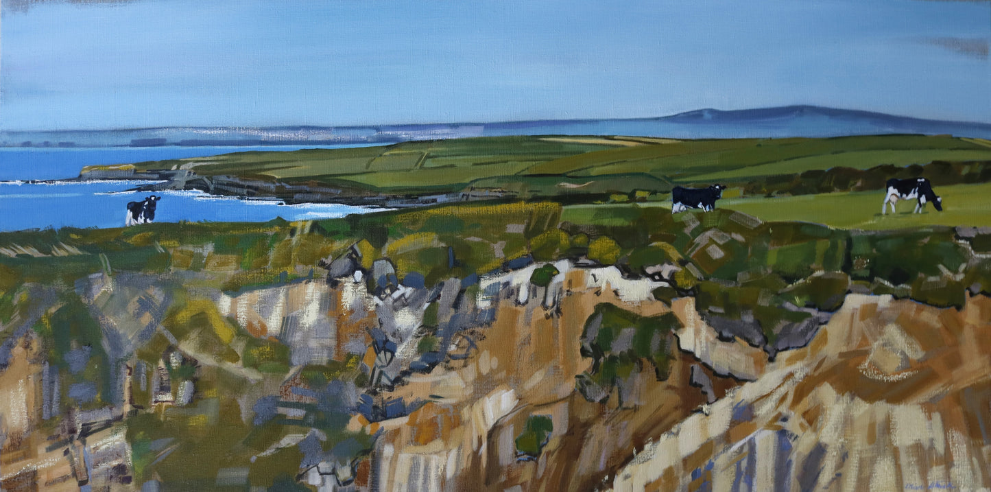 Clifftop Abundance Meenogahane