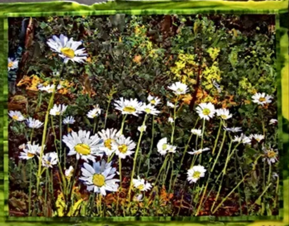 Wet or Dry Double Flip: Mosaic Technique Workshop with Solly - Sat 30th & Sun 31st August