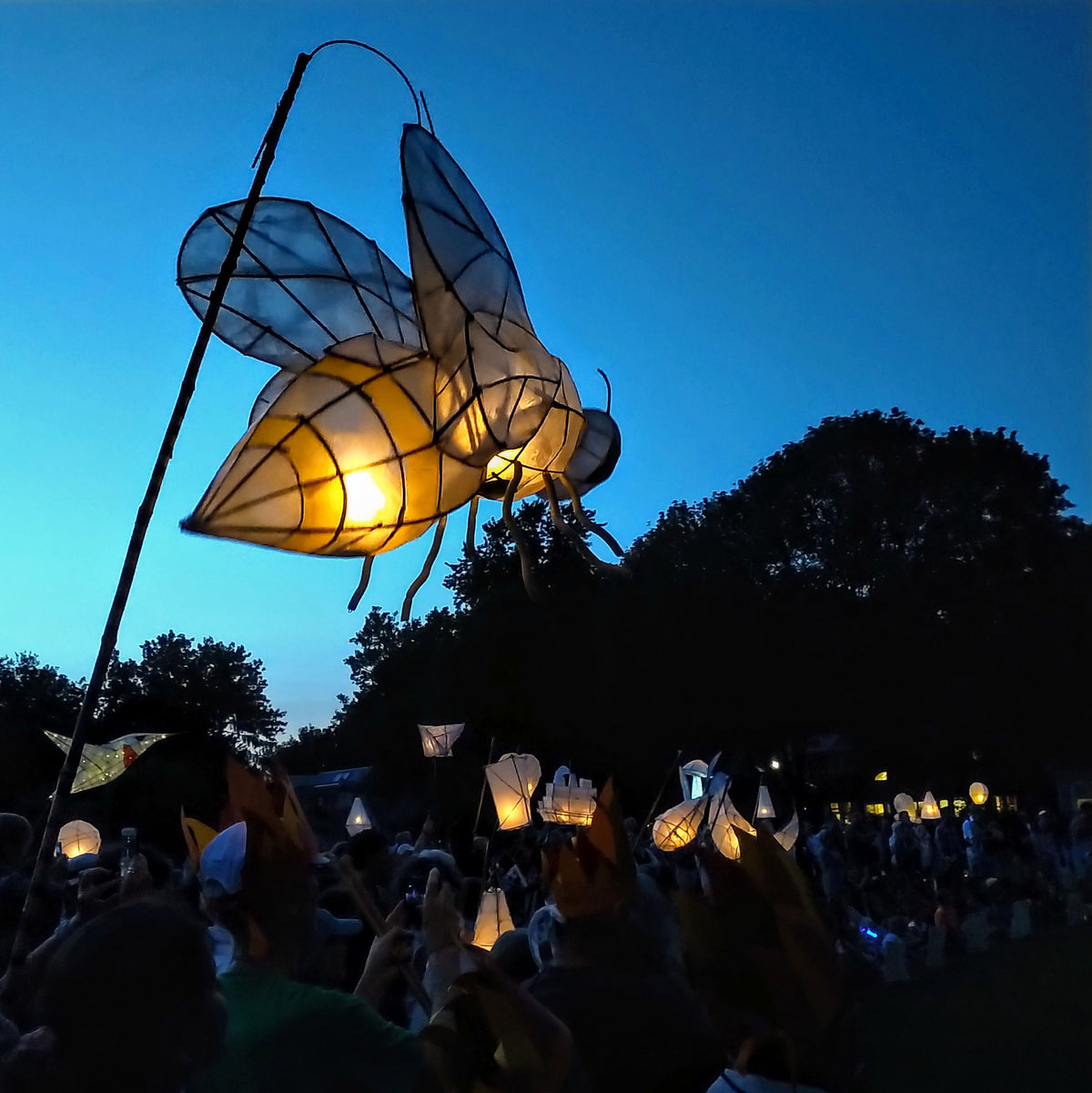 Willow and Paper Lanterns with Kathleen Doody - Thurs 6th Aug 2026