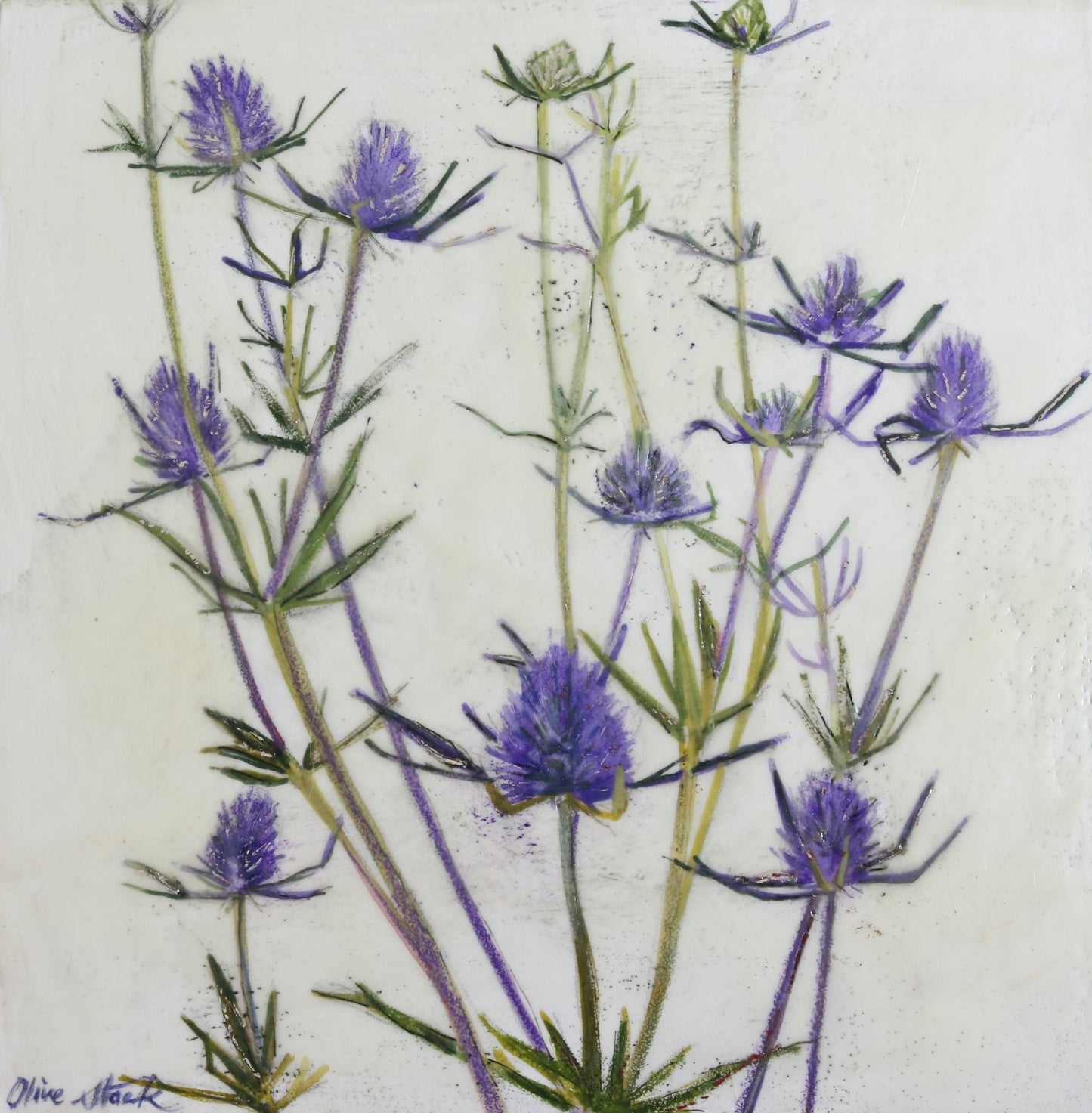 Sea Holly Napkin x 2
