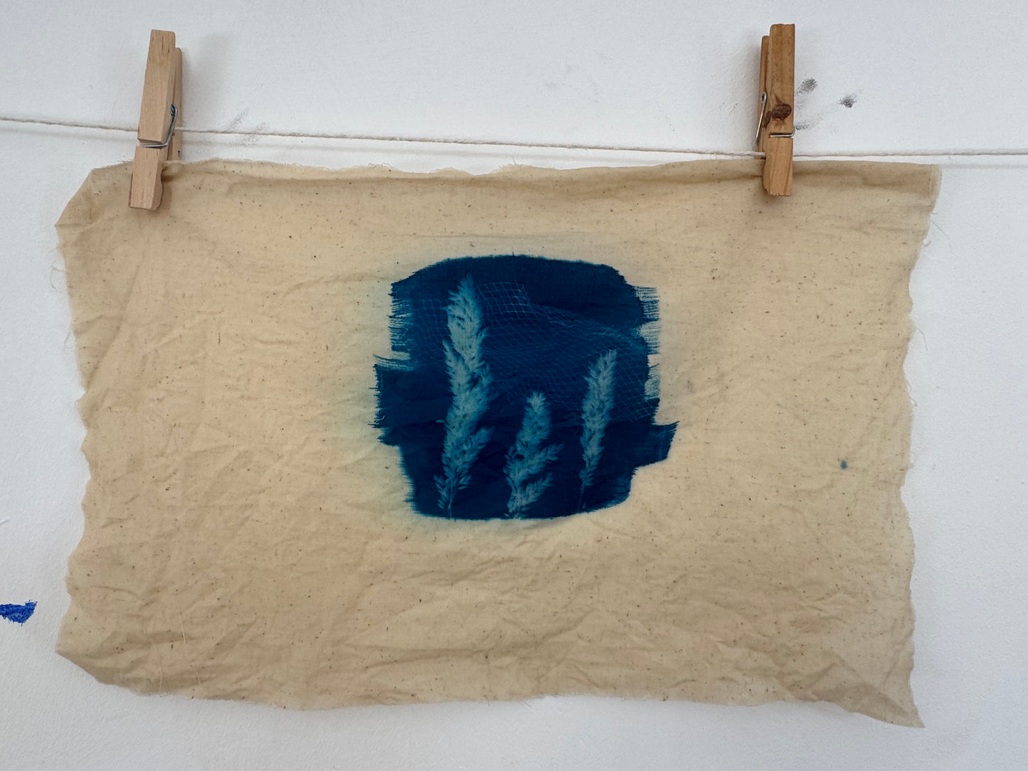 Cyanotype Nature Printing: Bring Listowel Home- Friday 31st July 2026