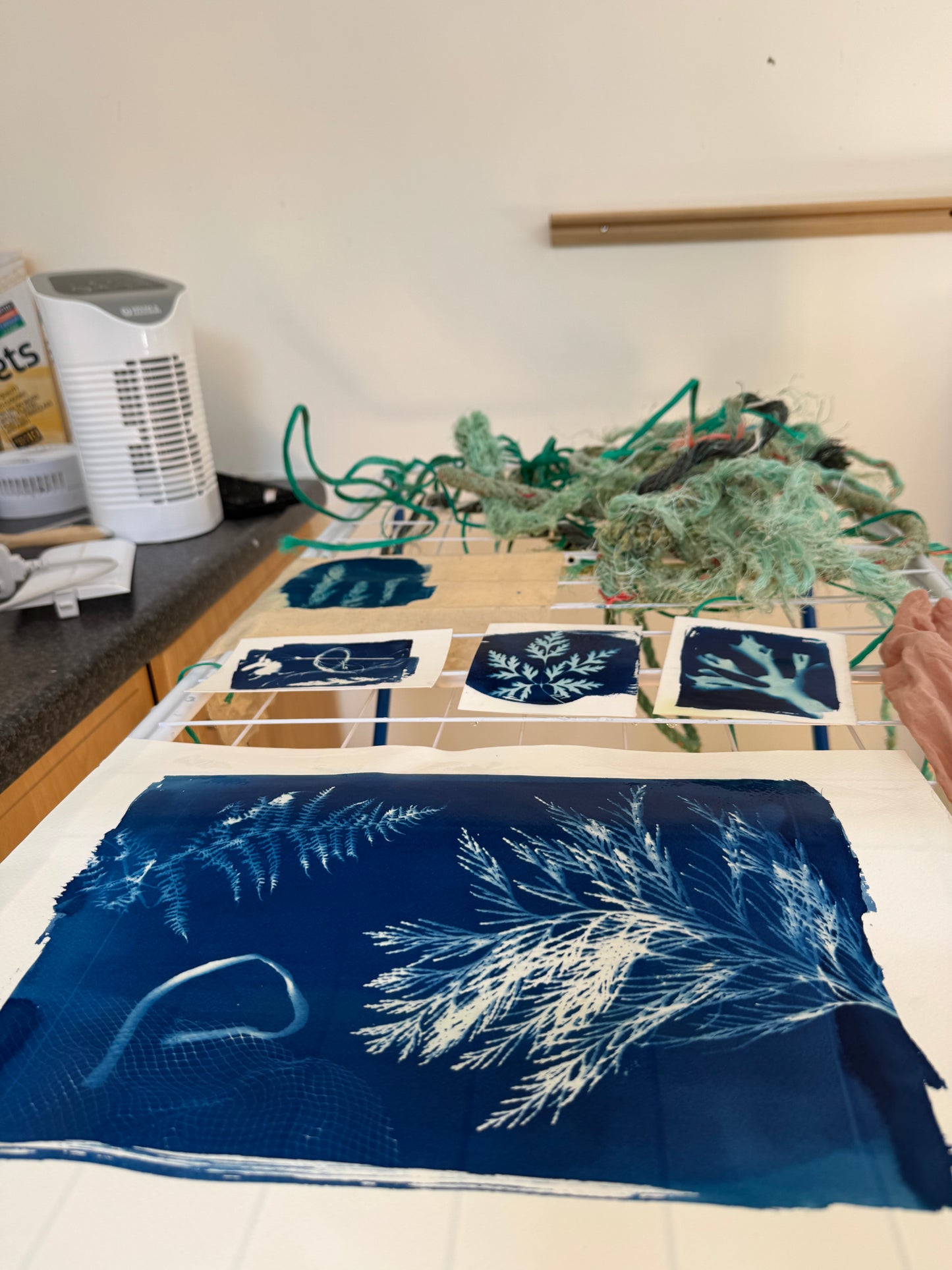 Cyanotype Nature Printing: Bring Listowel Home- Friday 31st July 2026