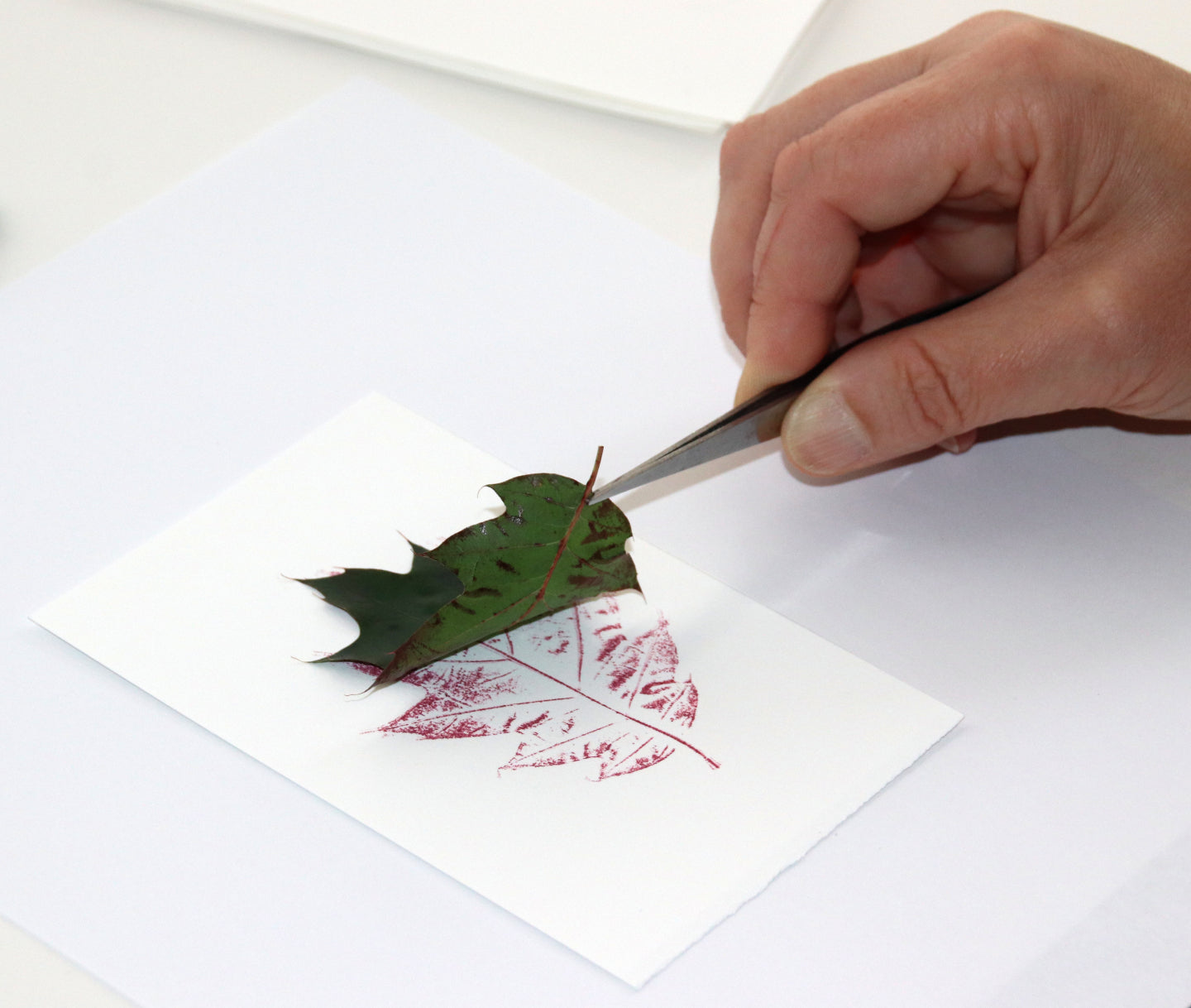 Mixed Media Ogham Leaf Gift Cards & Tags