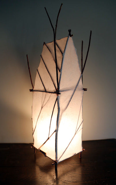 Willow and Paper Lanterns with Kathleen Doody Thurs 6th August 2026