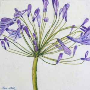 Agapanthus Napkins x 2