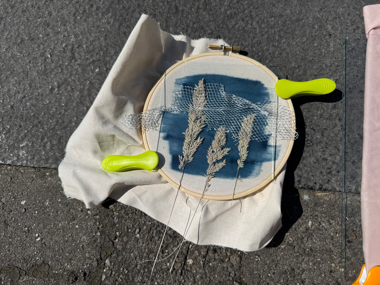 Cyanotype Nature Printing: Bring Listowel Home- Friday 31st July 2026
