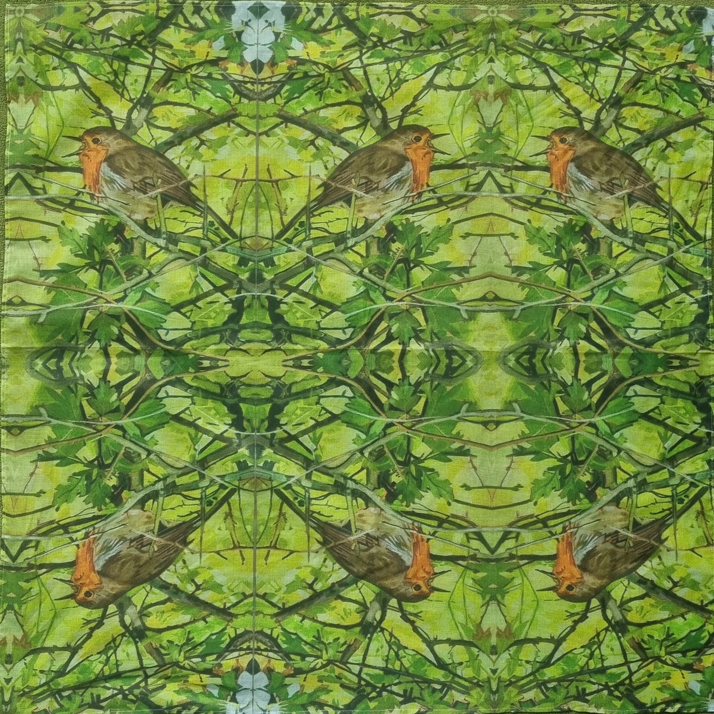 Robin Scarf