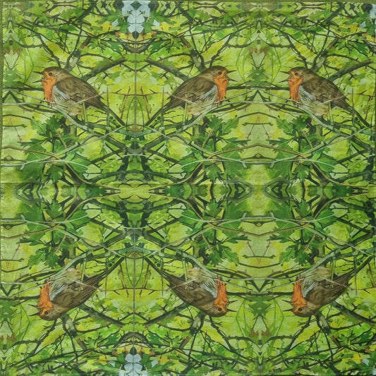Robin Scarf