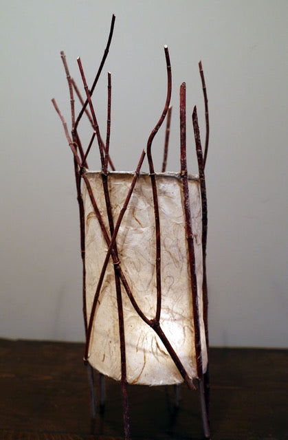 Willow and Paper Lanterns with Kathleen Doody Thurs 6th August 2026