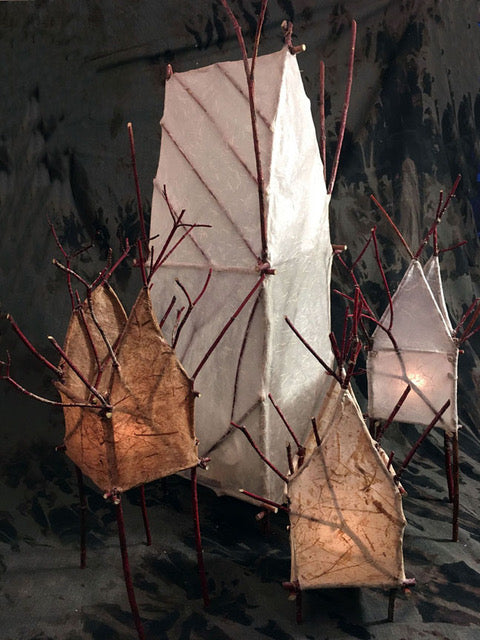 Willow and Paper Lanterns with Kathleen Doody Thurs 6th August 2026