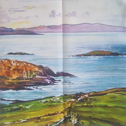 Derrynane Napkins x 2