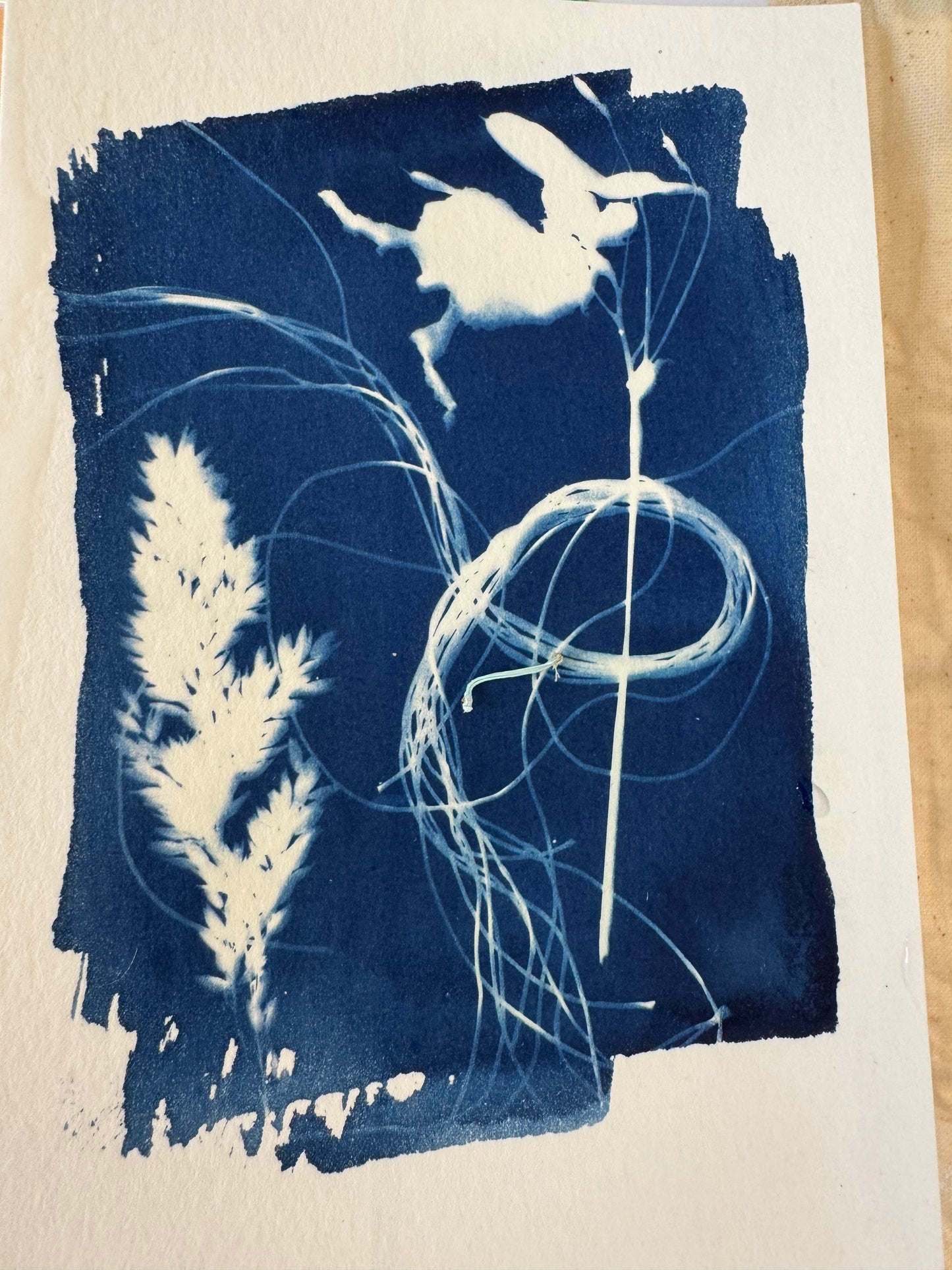 Cyanotype Nature Printing: Bring Listowel Home- Friday 31st July 2026