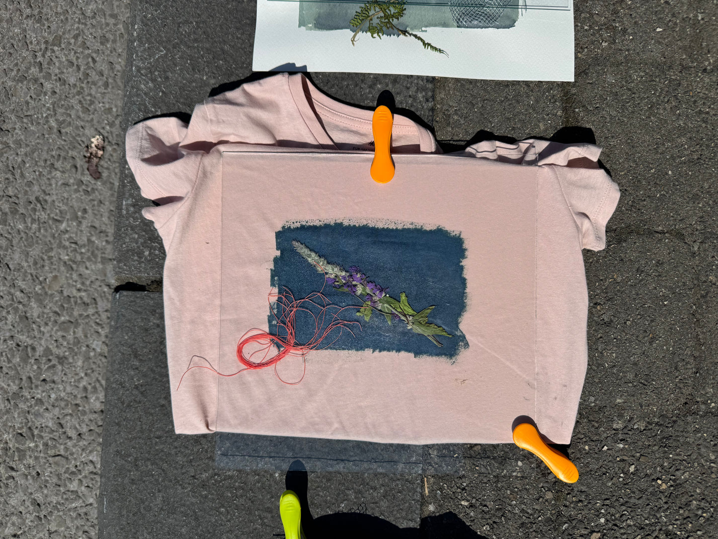 Cyanotype Nature Printing: Bring Listowel Home- Friday 31st July 2026